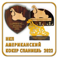 НКП Ам кокер 2022 КЛК 1-0